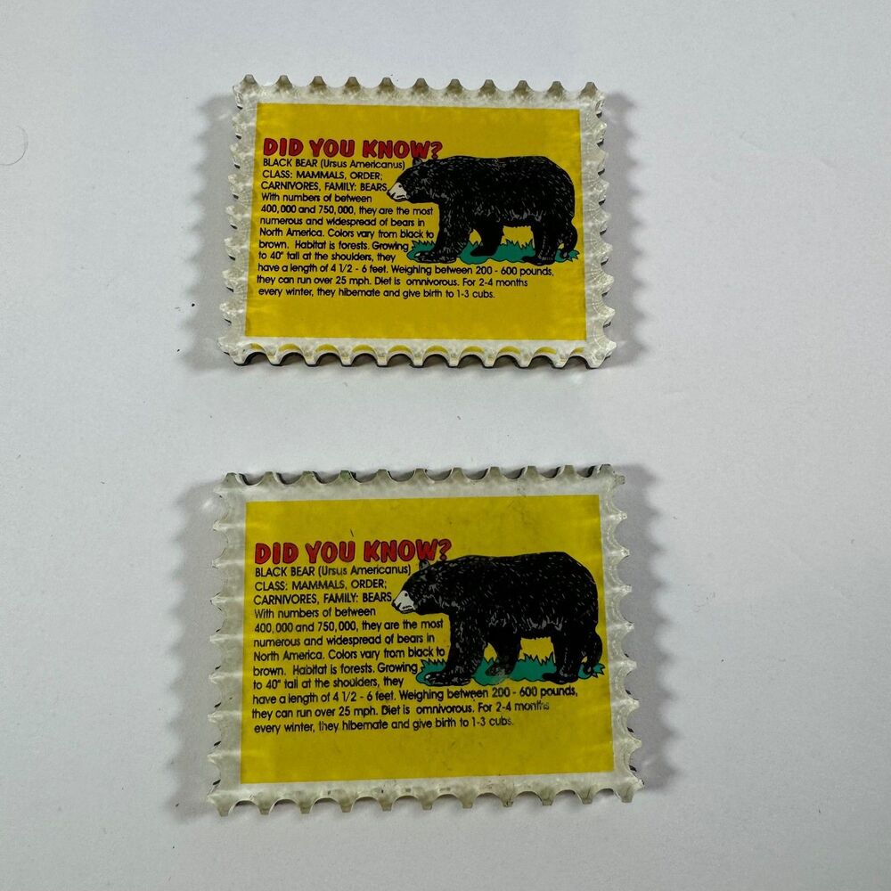 Black Bear Magnet LOT of 2 Did You Know Fact Informational Educational Animal